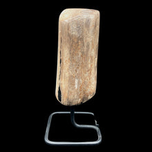Load image into Gallery viewer, Side View Of Petrified Wood On Stand
