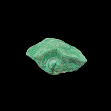 Load image into Gallery viewer, Malchite Lapidary
