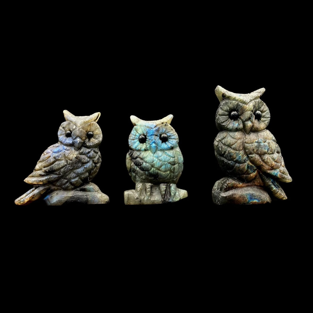 Front View Of All 3 Variants Of Labradorite Hand Carved Owls
