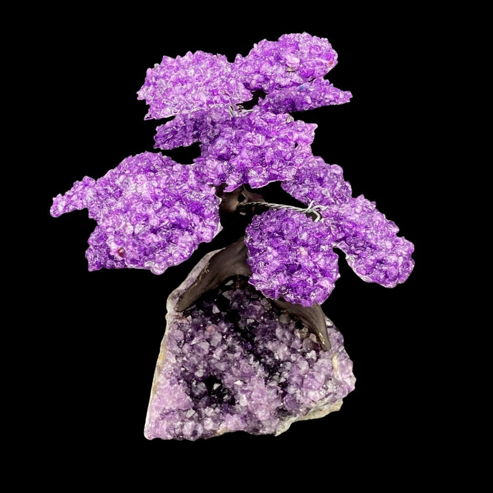 Front Side Of Amethyst Tree