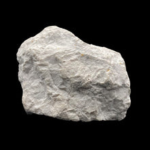 Load image into Gallery viewer, Back Side Of White Howlite Cut Base
