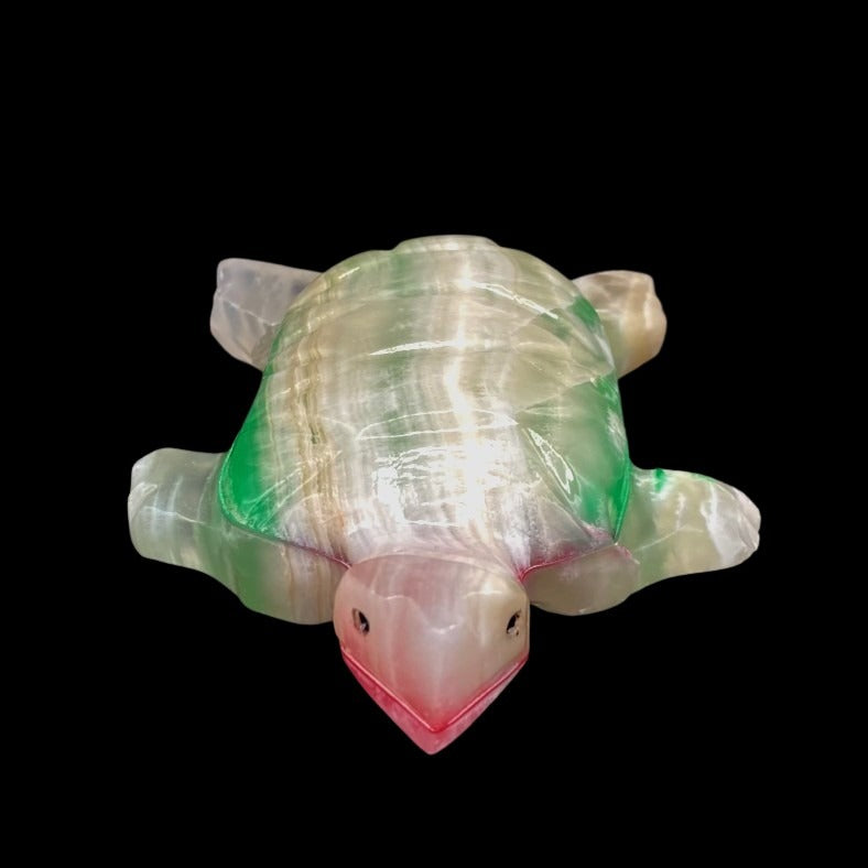 Front View Of Rainbow Onyx Turtle