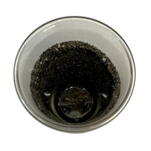 Load image into Gallery viewer, View Inside The Shungite Crystal Cup
