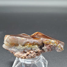Load image into Gallery viewer, Rough Fire Agate Raw Stone Rock Hound

