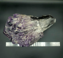 Load image into Gallery viewer, Amethyst Stalk with Ruler
