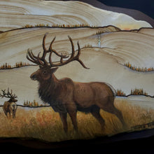 Load image into Gallery viewer, Elk Painted On Sandstone Closeup
