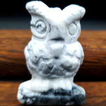 Load image into Gallery viewer, Carved Owl Howlite
