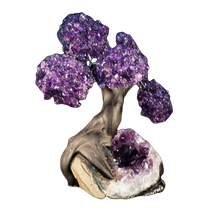Load image into Gallery viewer, Amethyst Blooms On A Raw Amethyst Base
