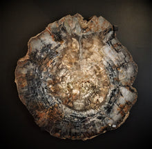 Load image into Gallery viewer, Arizonia Petrified Wood Slab Just Under 3 Foot In Diameter And 2 inches wide
