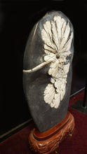 Load image into Gallery viewer, Side View Chrysanthemum Stone

