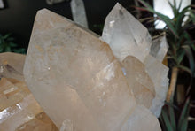 Load image into Gallery viewer, Close Up Of Large Crystal Point Within 24 Inch Cluster
