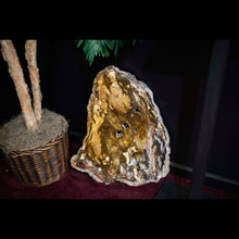Load image into Gallery viewer, Genuine Fossilized Wood Specimen Origin Utah
