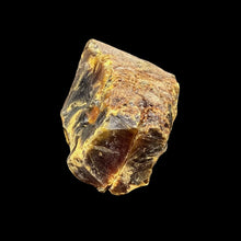 Load image into Gallery viewer, Side View Of Amber Specimen
