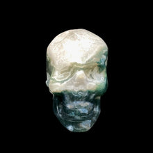 Load image into Gallery viewer, Front View Of Skull
