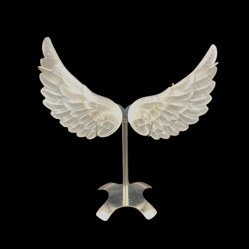 Front Side Of Angel Wings On Stand