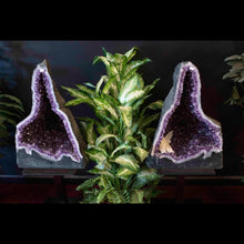 Load image into Gallery viewer, Amethyst Geode Half Druzy Crystal On Display Stand
