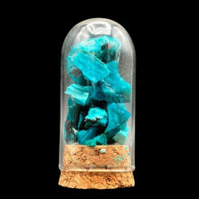 Load image into Gallery viewer, Chrysocolla Specimens In Gem Bottle
