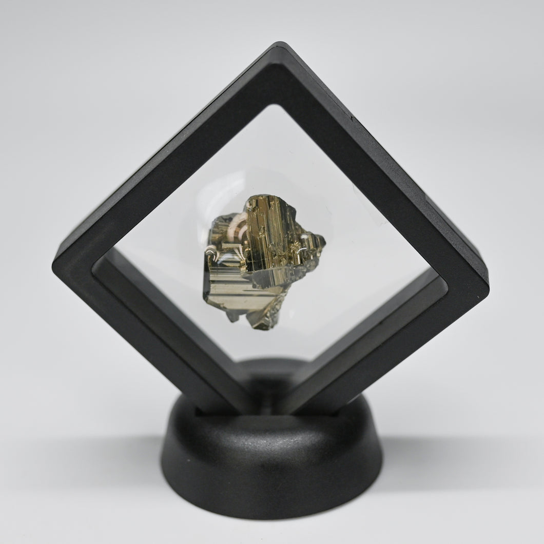 Pyrite Enclosed In Black Plastic Display Budget Home Decor