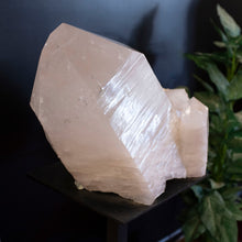 Load image into Gallery viewer, Side View Of 25 Inch Arkansas Quartz Crystal 
