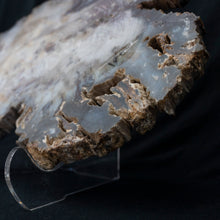 Load image into Gallery viewer, Side View Petrified Wood Slice 
