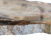 Load image into Gallery viewer, Side View Petrified Wood Slab Arizona
