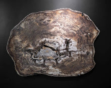 Load image into Gallery viewer, Large Slab Of Brown And Cream Petrified Wood From Oregon Agatized Wood
