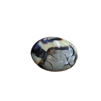Septarian Gallet Primarily Gray With One Yellow Accent 