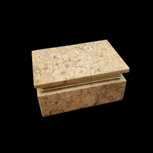 Load image into Gallery viewer, Light Tan Flower Coral Fossil Box
