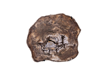 Load image into Gallery viewer, Back Side Petrified Wood
