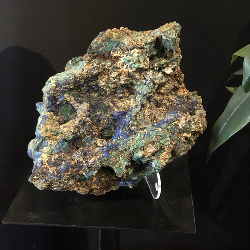 Azurite With Malachite Mineral Specimen 17 Inches Tall