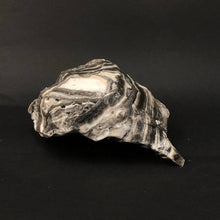 Load image into Gallery viewer, Zebra Calcite Specimen White With Black Stripes
