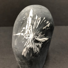 Load image into Gallery viewer, Small Natural Chrysanthemum Stone Black Gray Mineral Decor
