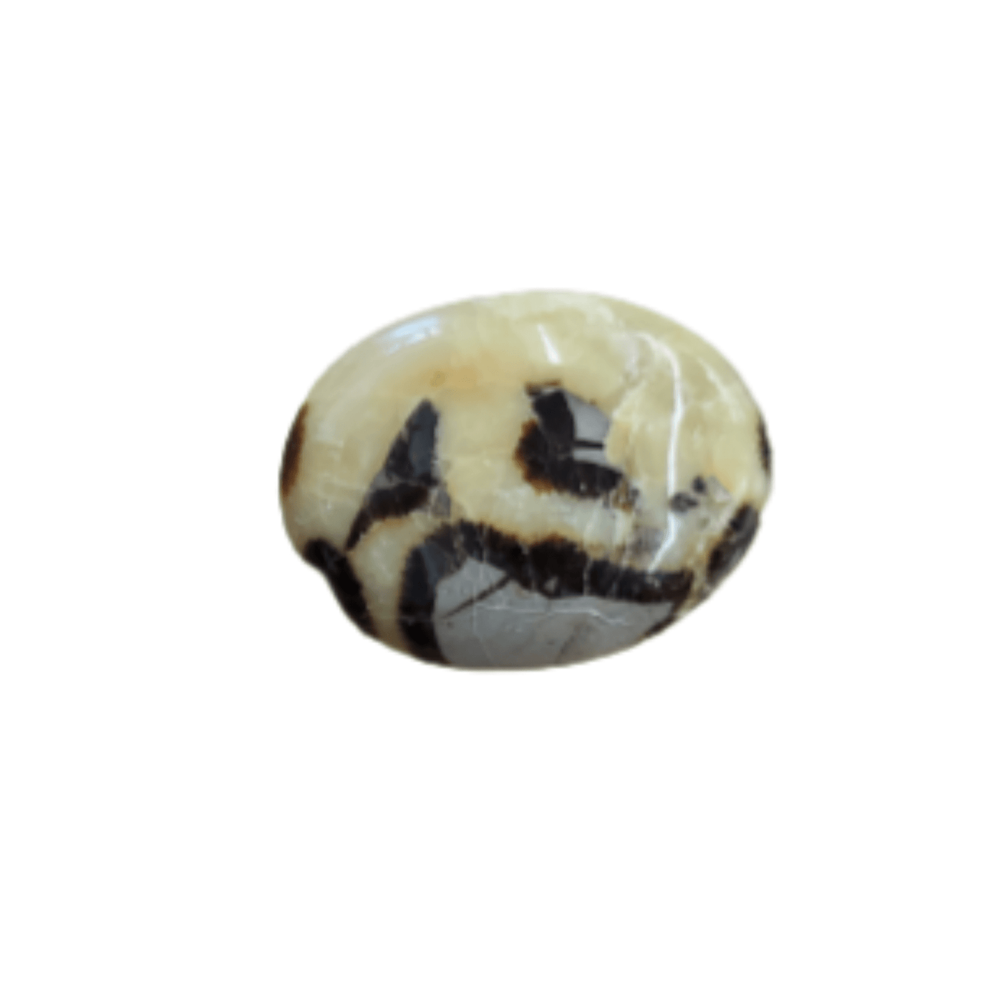 Mostly Yellow Septarian Gallet 