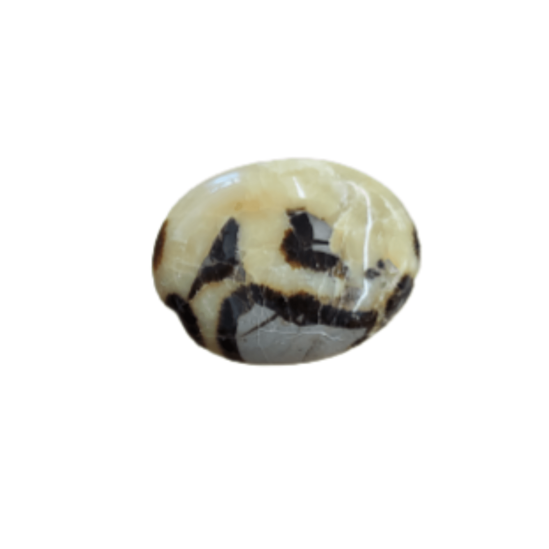 Mostly Yellow Septarian Gallet 